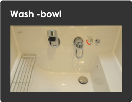 Wash bowl