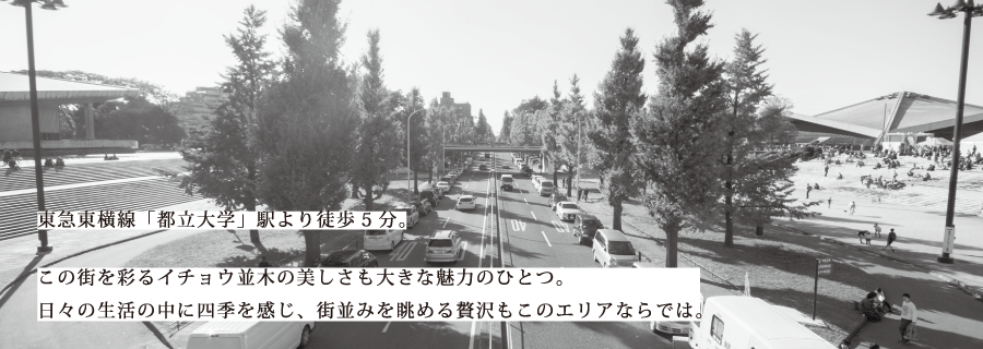 この街を彩るイチョウ並木の美しさも大きな魅力のひとつ。日々の生活の中に四季を感じ、街並みを眺める贅沢もこのエリアならでは。